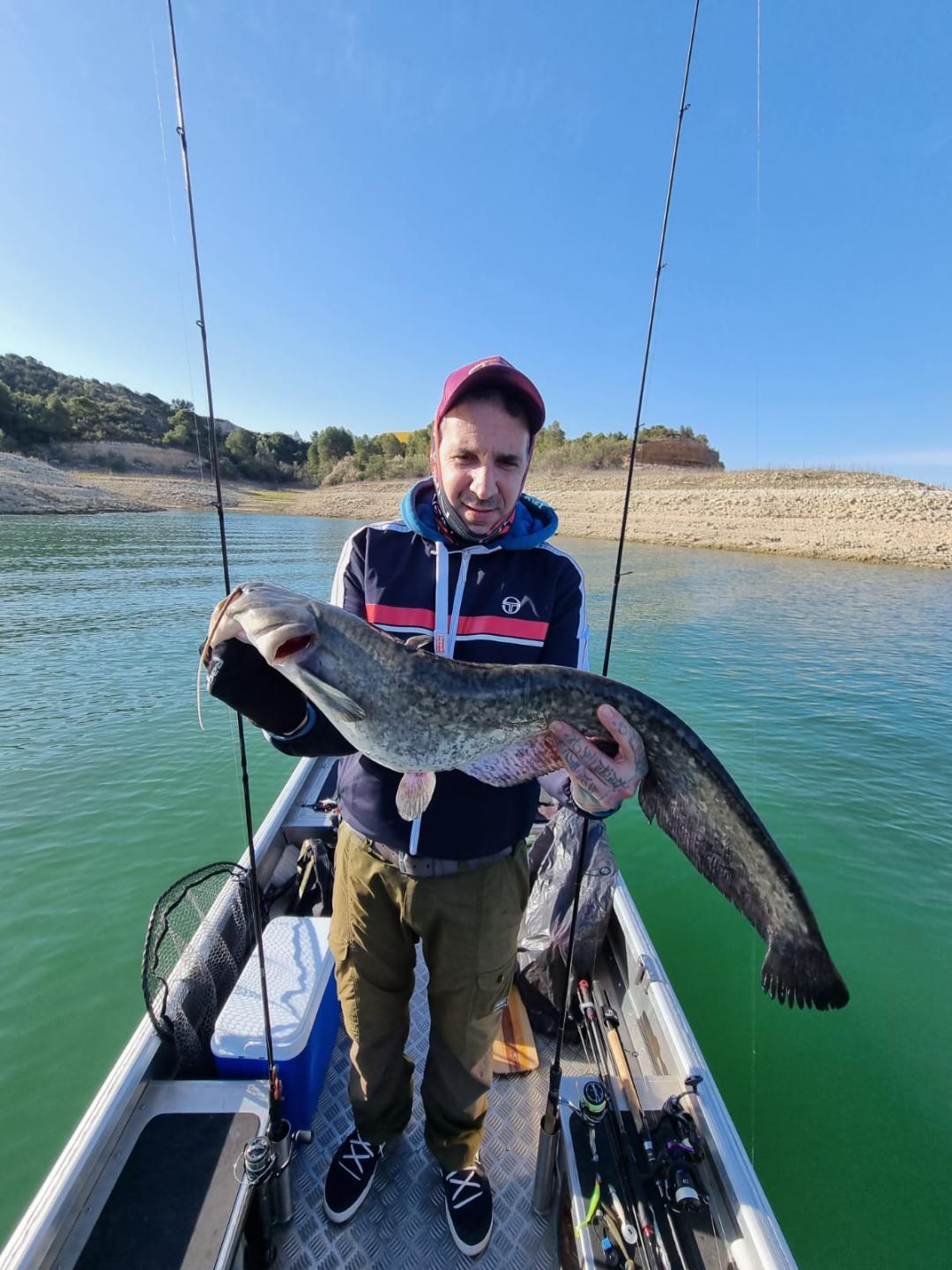 Wels-Fang am Ebro in Spanien