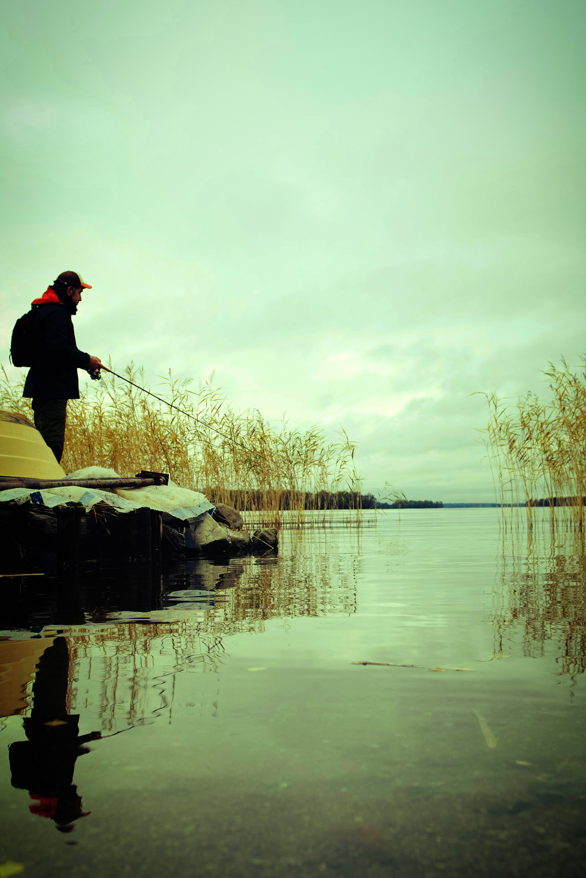 Angler an der Schilfkante vor dem Biss